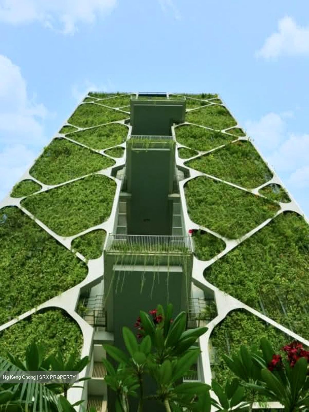 Tree House (D23), Condominium #562083571
